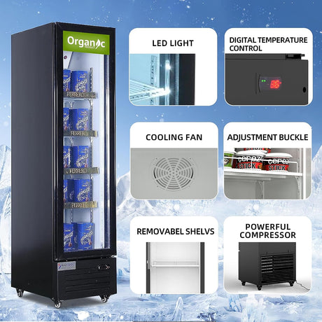 ALKCOOL 15 Cu.Ft double-door refrigerator offering large capacity, automatic defrost, and environment-friendly R600a refrigerant