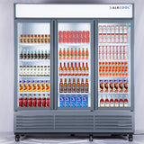 TGDR70 Swing Glass Door Refrigerator 01